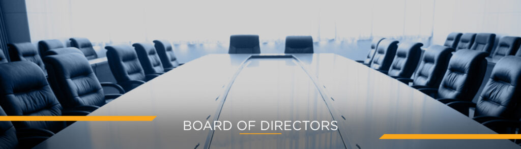 Toyota Nigeria Limited - our board of directors